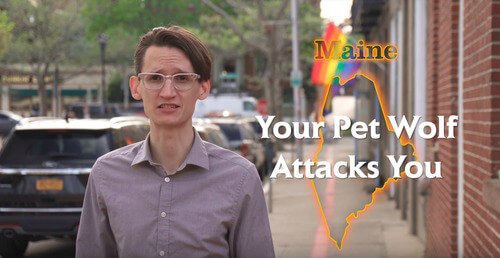 Your Pet Wolf Attacks You
