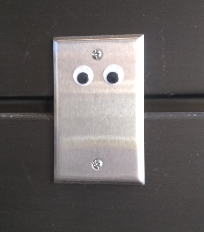 Googly eyes on a switch plate.