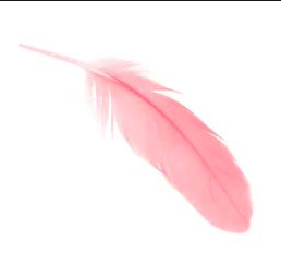 A single pink flamingo feather.